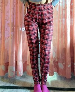 Maroon Tights