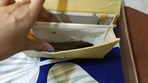 Sling Bag For Ethnic Wear / Party