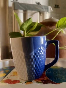Blue Ceramic Mug @100 rs