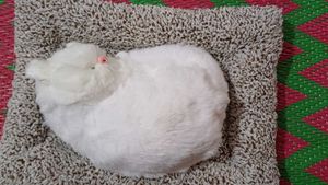 Sleeping Cat Plush Toy with Press Simulation Sound