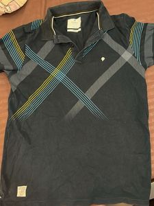 Kidley Polo Shirt - Graphic Print