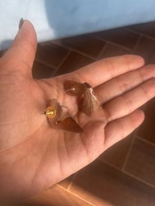 Unique Leaf Earrings in rose gold