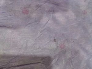 Embroidered Salwar Kameez Fabric