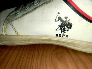 US POLO Copy Shoes