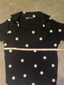U Neck Fitted  Collared Top