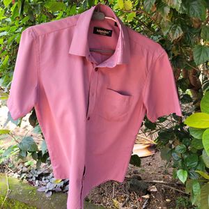 Neat and Clean Used Shirts
