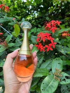 Dior J’adore Infinissime  EDP