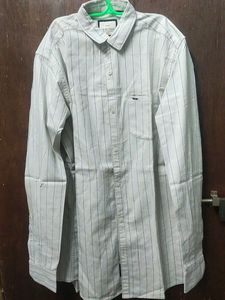 Regular Shirt With Striped Long Sleeve ButtonDown