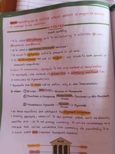 Botany Med Easy Notes - Dr. Vipin Sharma