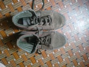 Vans First Copy Shoe