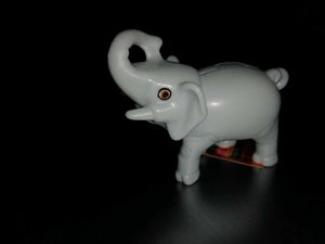 Miniature Elephant🐘
