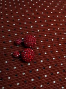 Red Crystal Earrings