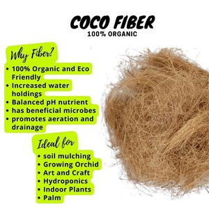 Indian Sage Coconut Husk