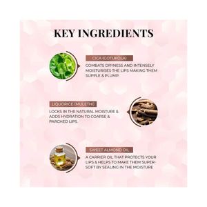 Just Herbs Liquid Lipstick Set