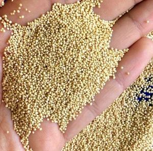 1 Kg Pure Organic Rajgira Seeds Amaranth
