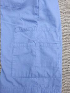 Dickies Shorts