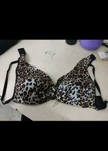 Cukoo Padded Pushup Bra