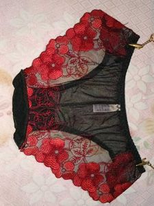 Lace Net Embroidered Panty