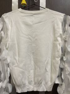 Ruffle Net Sleeves Top
