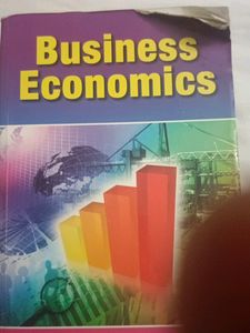 Business Economics