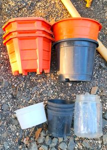 Plant Pot For Beginners