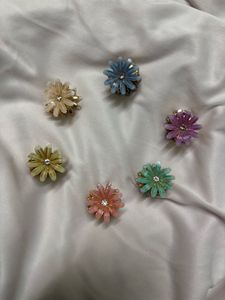 6 Floral Hair Clips