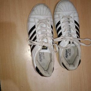 Sparx White Sneakers