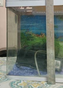 Used Aquarium with filter, stones,