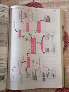Cbse Question Bank Class 10 (Science)