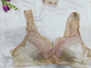 🇳🇿💫💗 imported Silky Shiney Bra