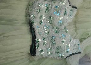 Beautiful Crop Top Choli