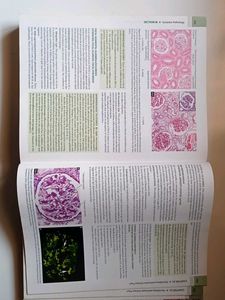 Pathology Book Mbbs
