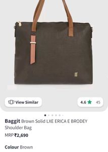 Baggit Handbag