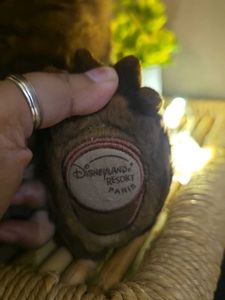 Collectible Disney Brand  Plush Bear