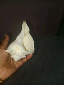 Valampuri Sangu , I Bought New So I&#39;m Selling This