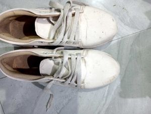 Sneaker Shoes