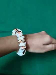 Seashell Bracelet