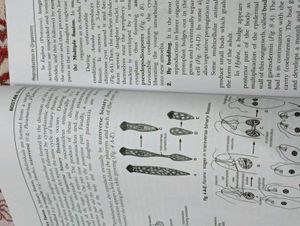 Nootan NCERT Class 12th Textbook
