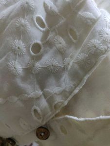 Schiffli Embroidered Dress