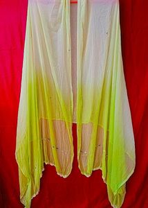 Lakhnavi Palazo Set With Dupatta.