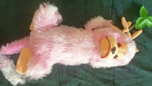 Monkey Soft Toy