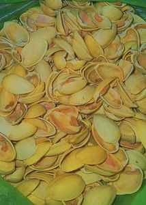 Pistachios Shells