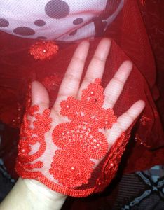 Net Embroidered Saree