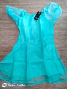 Women Organza Mini Dress