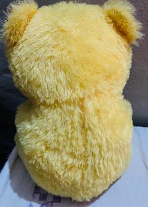 Teddy