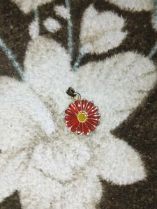 Pendant/Charm