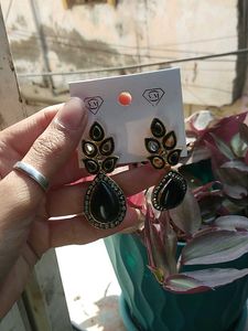 Elegant Black Earrings
