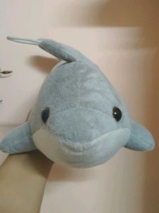 Cute Dolphin Plush