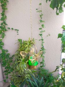 Golden Butterfly Tealight Holder Hanging