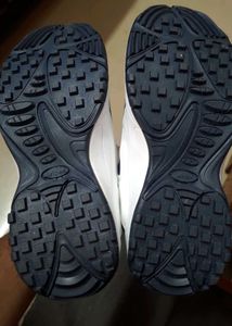 Original Lakhani (E-1604) Canvas Sports Shoes